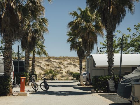 Càmping Kiko park Playa - Camping Valence - Image N°8