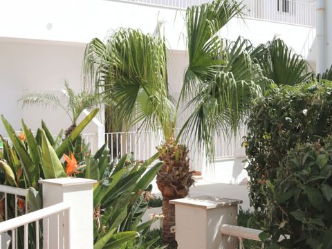 APPARTEMENT 4 personnes - Standard - 1 chambre