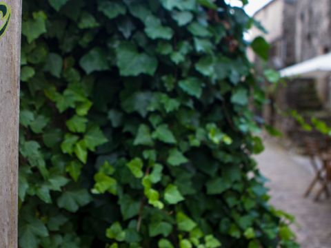 Camping la Claparède - Camping Aveyron - Image N°21