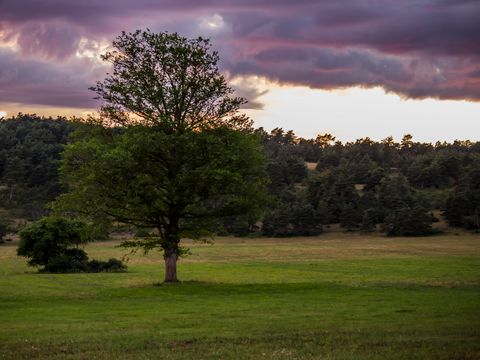 Camping la Claparède - Camping Aveyron - Image N°27