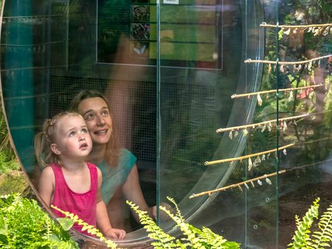 Camping la Claparède - Camping Aveyron - Image N°22