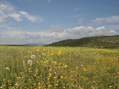 Camping la Claparède - Camping Aveyron - Image N°20