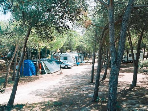 Camping Bella Italia Sardinia - Camping Sassari - Image N°7