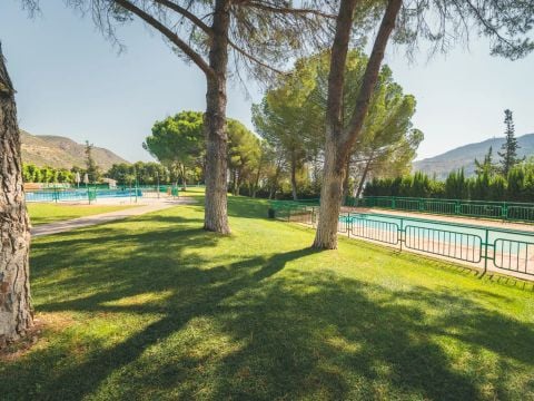 HolaCamp Mequinenza - Camping Saragosse - Image N°4