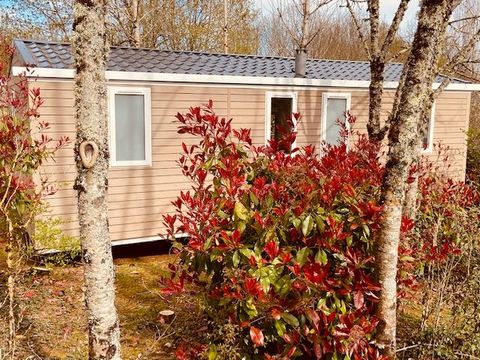 MOBILHOME 4 personnes - Mobil-home Premiun Loggia 32m² 2 chambres - Arrivée le Samedi en Juillet et Août