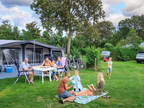 Camping Ginsterveld - Camping Schouwen-Duiveland - Image N°15