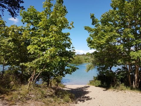 Camping Ginsterveld - Camping Schouwen-Duiveland - Image N°20