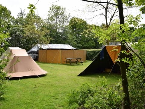 Robersum Recreatie - Camping Het Hogeland - Image N°5