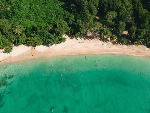 Pierre & Vacances Village Sainte-Luce Martinique - Camping Martinique - Image N°23