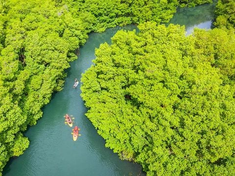 Pierre & Vacances Village Sainte-Anne Guadeloupe - Camping Guadeloupe