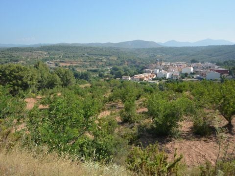 Camping Altomira  - Camping Castellón - Image N°21