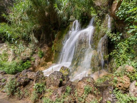 Camping Altomira  - Camping Castellón - Image N°19