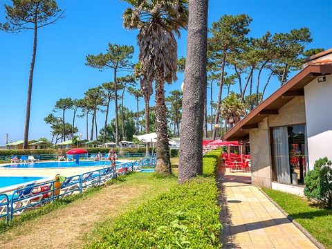 Camping Angeiras - Camping Nord du Portugal - Image N°8