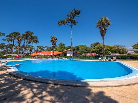 Camping Angeiras - Camping Nord du Portugal - Image N°6