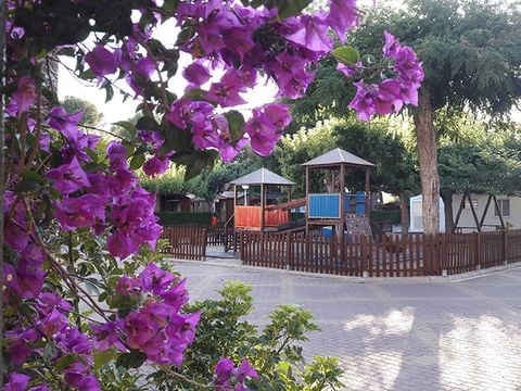 Camping L'Alqueria - Camping Valencia - Image N°15