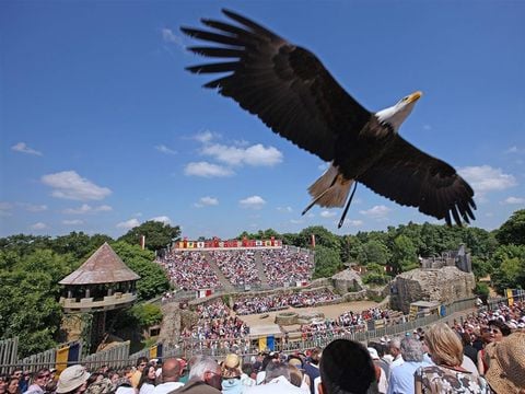 Sunêlia Camping Les Places Dorées - Camping Vendée - Image N°72