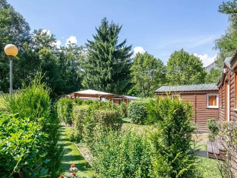 Flower camping À La Rencontre du Soleil  - Camping Isère - Image N°5