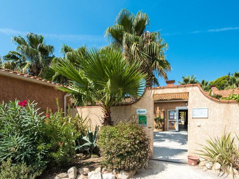 Camping La Pinède Enchantée  - Camping Pyrenees-Orientales - Image N°9