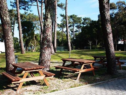 Camping Caminha - Camping Nord du Portugal - Image N°3