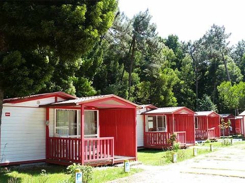 Camping Caminha - Camping Nord du Portugal - Image N°2