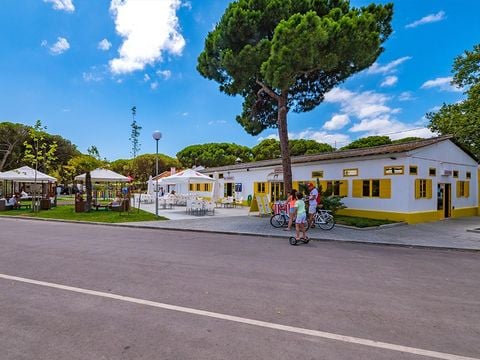 Camping Costa de Caparica - Camping Région de Lisbonne - Portugal - Image N°3