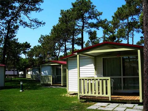 Camping Gala - Camping Midden-portugal - Afbeelding N°27
