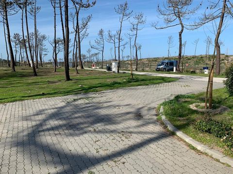 Camping Gala - Camping Midden-portugal - Afbeelding N°21