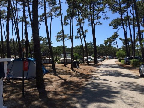 Camping Gala - Camping Midden-portugal - Afbeelding N°20