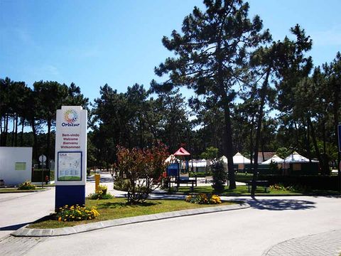 Camping Gala - Camping Midden-portugal - Afbeelding N°16