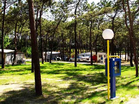 Camping Gala - Camping Midden-portugal - Afbeelding N°28