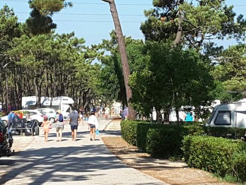 Camping Gala - Camping Midden-portugal - Afbeelding N°19