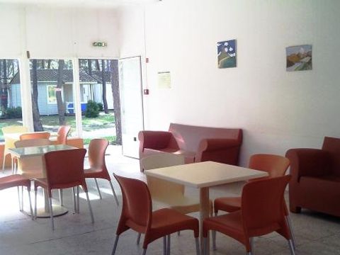 Camping Gala - Camping Midden-portugal - Afbeelding N°13