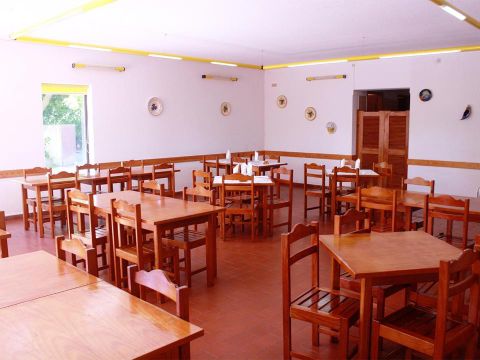 Camping Mira - Camping Centre du Portugal - Image N°15