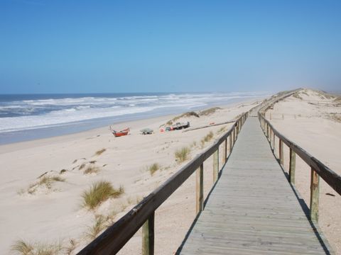 Camping Mira - Camping Centre du Portugal - Image N°18