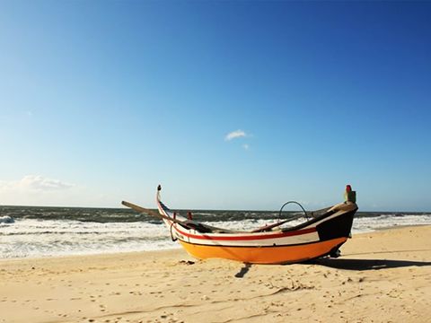 Camping Mira - Camping Centre du Portugal - Image N°12