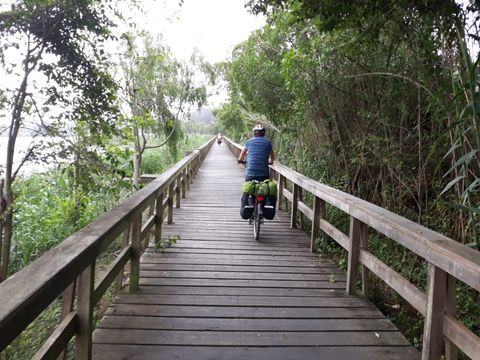 Camping Mira - Camping Centre du Portugal - Image N°17