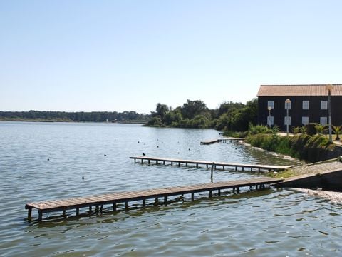 Camping Mira - Camping Centre du Portugal - Image N°5