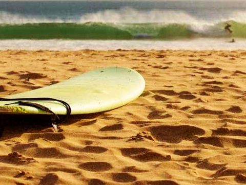 Camping Mira - Camping Centre du Portugal - Image N°13