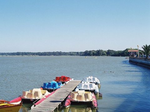 Camping Mira - Camping Centre du Portugal - Image N°19