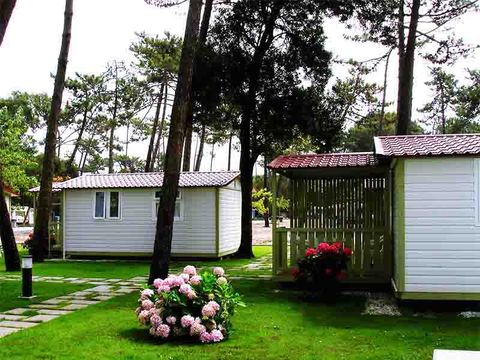 Camping Mira - Camping Centre du Portugal - Image N°24