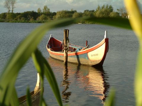 Camping Mira - Camping Centre du Portugal - Image N°9