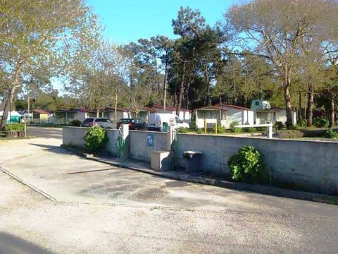 Camping Mira - Camping Centre du Portugal - Image N°3
