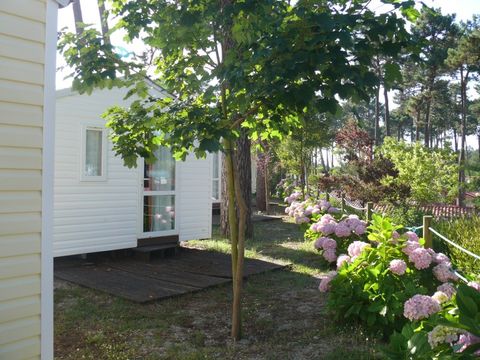 Mobilhome 2 personnes - BOOGIE - sans sanitaire