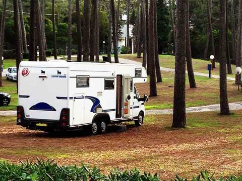 Camping Sao Pedro de Moel - Camping Lissabon - Afbeelding N°56