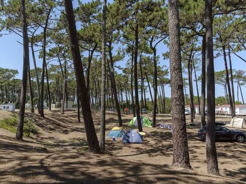 Camping Sao Pedro de Moel - Camping Lissabon - Afbeelding N°55