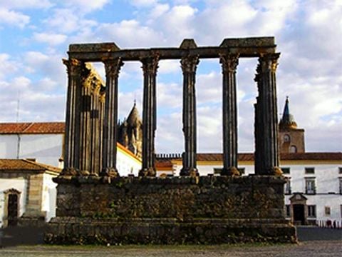 Camping Sao Pedro de Moel - Camping Lissabon - Afbeelding N°51