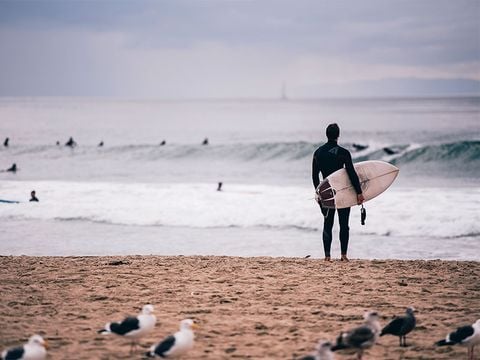 Camping Sao Pedro de Moel - Camping Lissabon - Afbeelding N°29