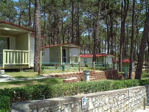 Camping Valado - Camping Centre du Portugal - Image N°23