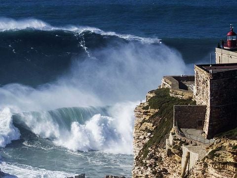 Camping Valado - Camping Centre du Portugal - Image N°20