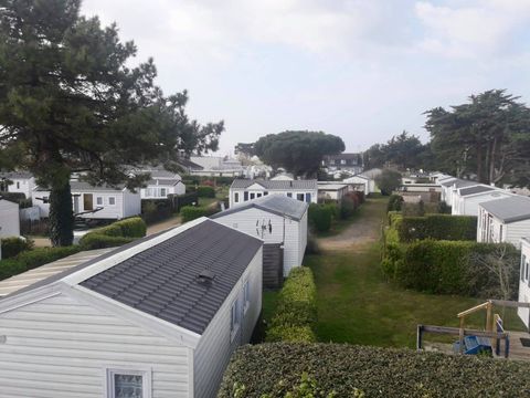 Camping Le Bois d'Amour - Camping Finistere - Image N°8